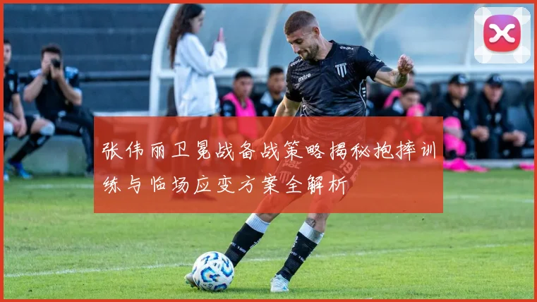 张伟丽卫冕战备战策略揭秘抱摔训练与临场应变方案全解析